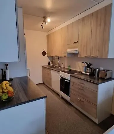 Viihtyisae Saunallinen Kolmio Keskustan Laeheisyydessae * Kokkola (Karleby)