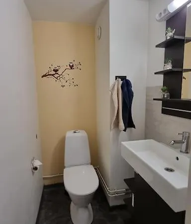 Viihtyisae Saunallinen Kolmio Keskustan Laeheisyydessae *